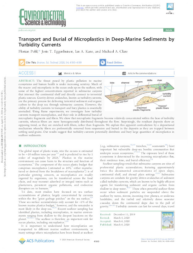 Transport and Burial of Microplastics in Deep-Marine Sediments by Turbidity Currents Thumbnail