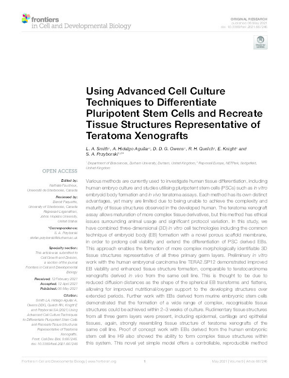 Using Advanced Cell Culture Techniques to Differentiate Pluripotent Stem Cells and Recreate Tissue Structures Representative of Teratoma Xenografts Thumbnail