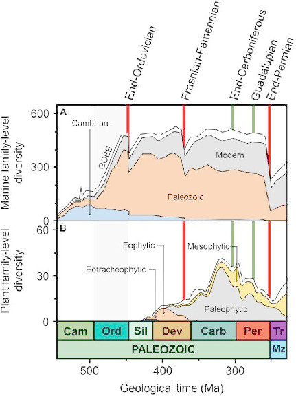 Revisiting the Great Ordovician Diversification of land plants: Recent data and perspectives Thumbnail