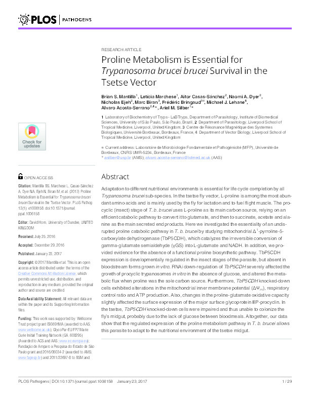 Proline Metabolism is Essential for Trypanosoma brucei brucei Survival in the Tsetse Vector Thumbnail