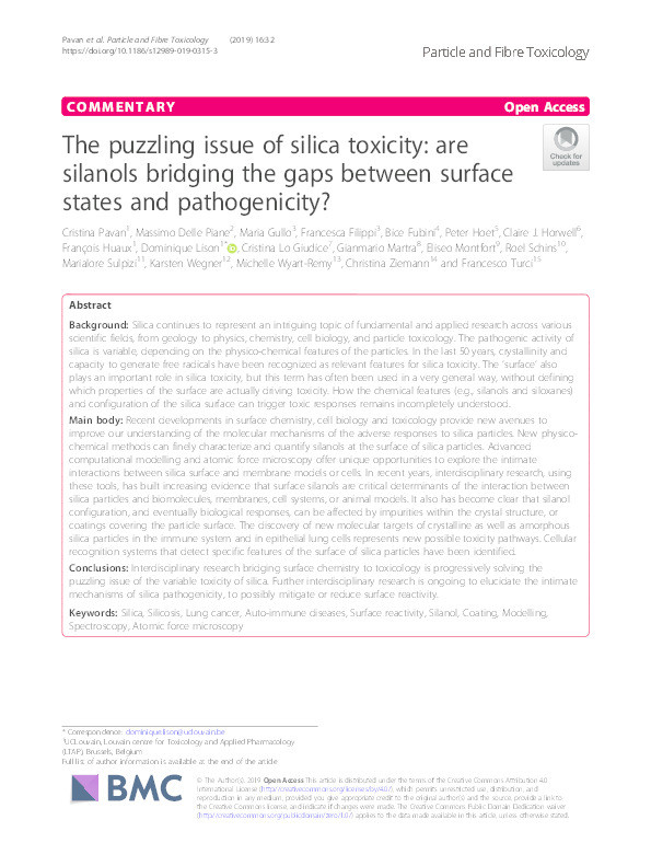 The puzzling issue of silica toxicity: are silanols bridging the gaps between surface states and pathogenicity? Thumbnail