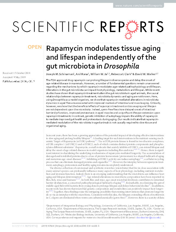 Rapamycin modulates tissue aging and lifespan independently of the gut microbiota in Drosophila Thumbnail