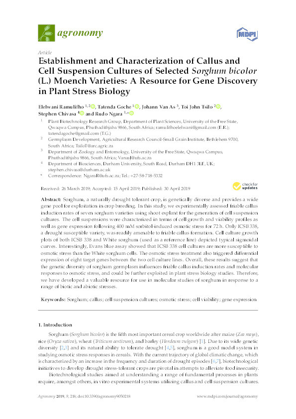 Establishment and Characterization of Callus and Cell Suspension Cultures of Selected Sorghum bicolor (L.) Moench Varieties: A Resource for Gene Discovery in Plant Stress Biology Thumbnail