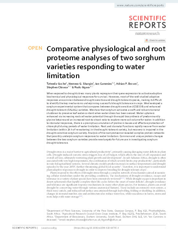 Comparative physiological and root proteome analyses of two sorghum varieties responding to water limitation Thumbnail