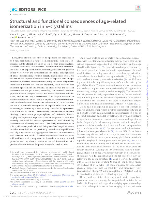 Structural and functional consequences of age-related isomerization in α-crystallins Thumbnail