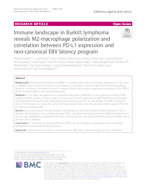 Immune landscape in Burkitt lymphoma reveals M2-macrophage polarization and correlation between PD-L1 expression and non-canonical EBV latency program Thumbnail
