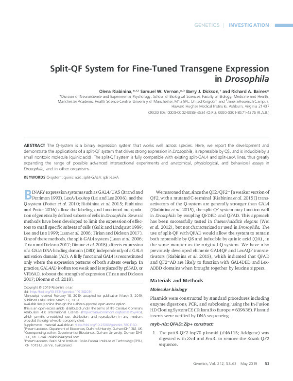Split-QF System for Fine-Tuned Transgene Expression in Drosophila Thumbnail