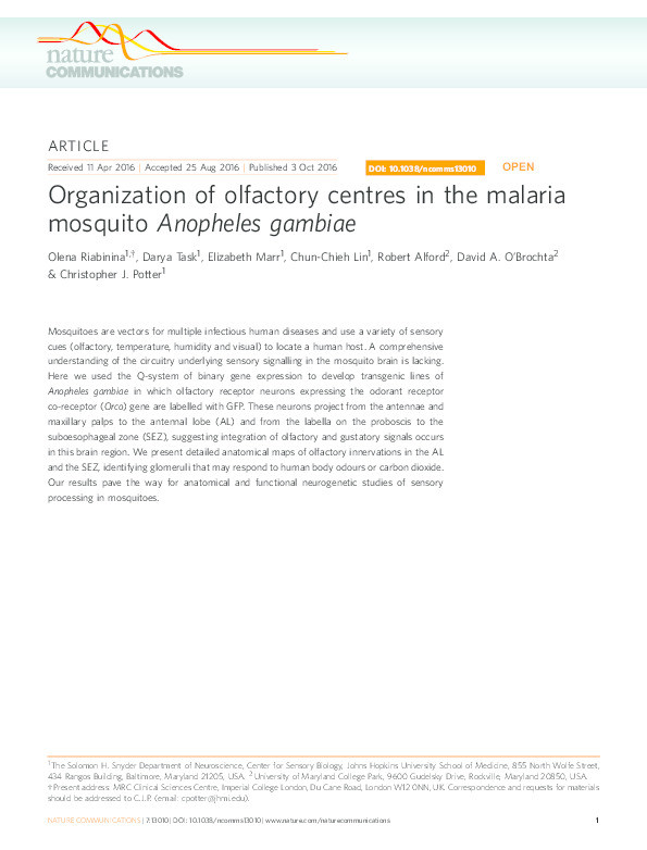Organization of olfactory centres in the malaria mosquito Anopheles gambiae Thumbnail