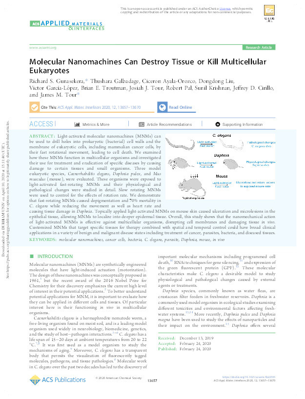 Molecular Nanomachines Can Destroy Tissue or Kill Multicellular Eukaryotes Thumbnail