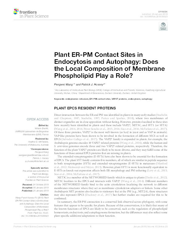 Plant ER-PM Contact Sites in Endocytosis and Autophagy: Does the Local Composition of Membrane Phospholipid Play a Role? Thumbnail
