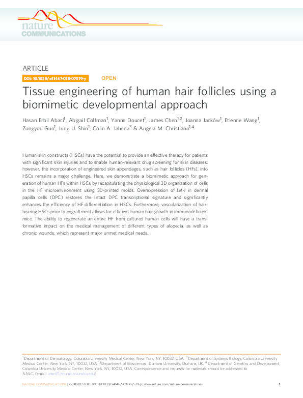 Tissue engineering of human hair follicles using a biomimetic developmental approach Thumbnail