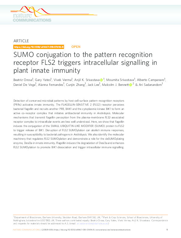 SUMO conjugation to the pattern recognition receptor FLS2 triggers intracellular signalling in plant innate immunity Thumbnail