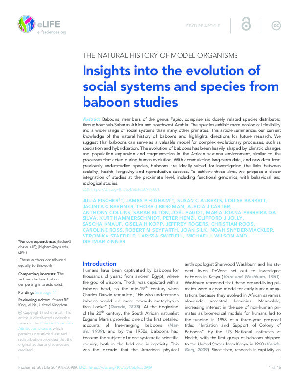 Insights into the evolution of social systems and species from baboon studies Thumbnail
