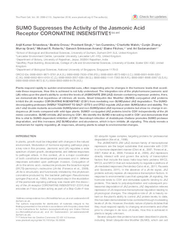 SUMO Suppresses the Activity of the Jasmonic Acid Receptor CORONATINE INSENSITIVE1 Thumbnail