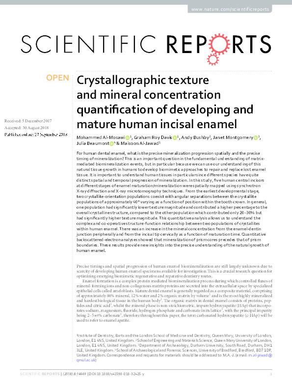 Crystallographic texture and mineral concentration quantification of developing and mature human incisal enamel Thumbnail