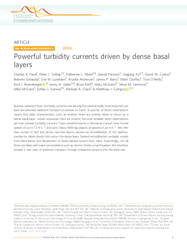 Powerful turbidity currents driven by dense basal layers Thumbnail