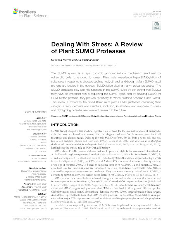 Dealing With Stress: A Review of Plant SUMO Proteases Thumbnail