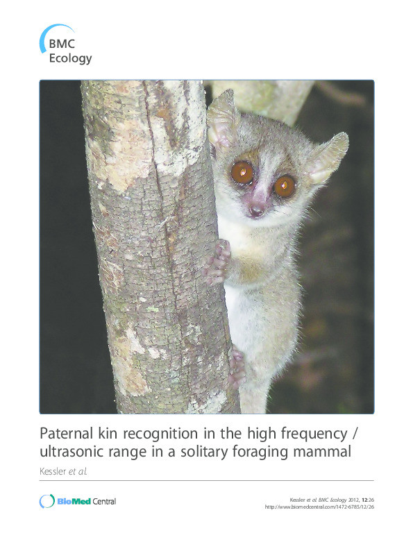 Paternal kin recognition in the high frequency / ultrasonic range in a solitary foraging mammal Thumbnail