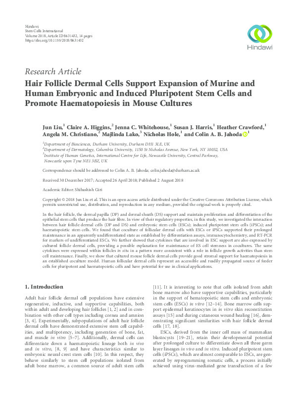 Hair Follicle Dermal Cells Support Expansion of Murine and Human Embryonic and Induced Pluripotent Stem Cells and Promote Haematopoiesis in Mouse Cultures Thumbnail