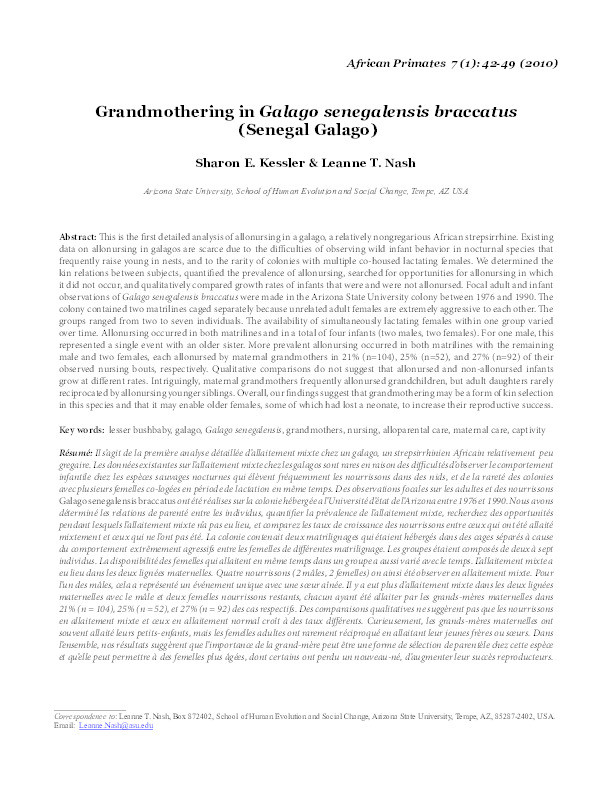 Grandmothering in Galago senegalensis braccatus (Senegal Galago) Thumbnail
