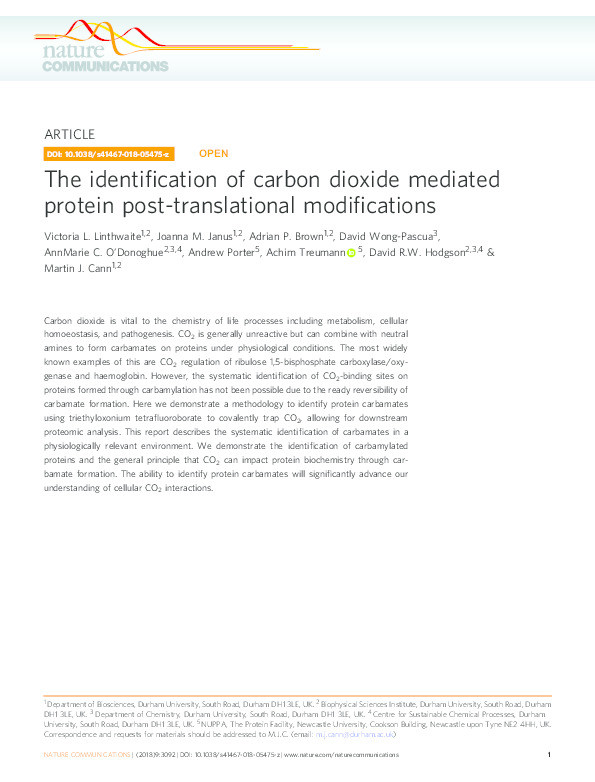 The identification of carbon dioxide mediated protein post-translational modifications Thumbnail
