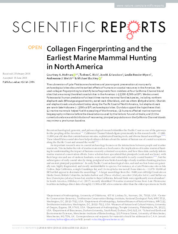 Collagen fingerprinting and the earliest marine mammal hunting in North America Thumbnail