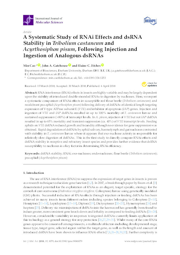 A Systematic Study of RNAi Effects and dsRNA Stability in Tribolium castaneum and Acyrthosiphon pisum, Following Injection and Ingestion of Analogous dsRNAs Thumbnail