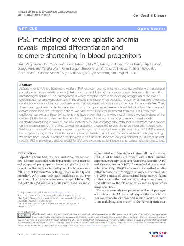 iPSC modeling of severe aplastic anemia reveals impaired differentiation and telomere shortening in blood progenitors Thumbnail
