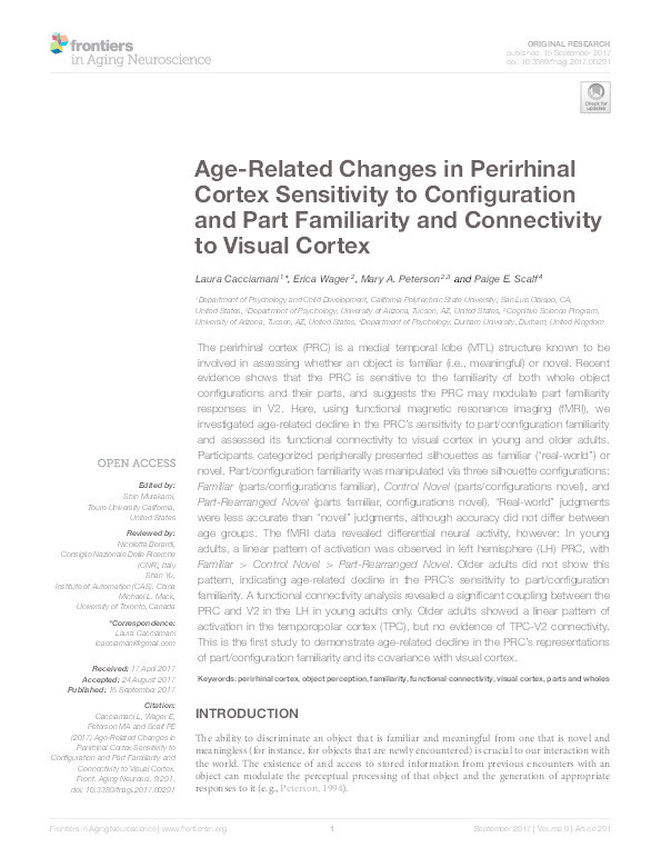 Age-Related Changes in Perirhinal Cortex Sensitivity to Configuration and Part Familiarity and Connectivity to Visual Cortex Thumbnail