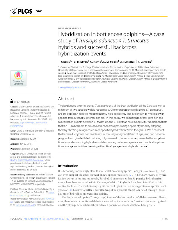 Hybridization in bottlenose dolphins—A case study of Tursiops aduncus × T. truncatus hybrids and successful backcross hybridization events Thumbnail