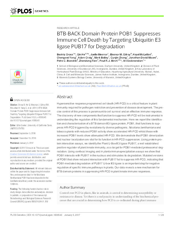 BTB-BACK Domain Protein POB1 Suppresses Immune Cell Death by Targeting Ubiquitin E3 ligase PUB17 for Degradation Thumbnail