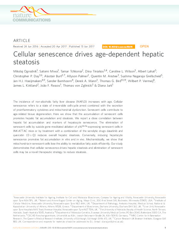 Cellular senescence drives age-dependent hepatic steatosis Thumbnail