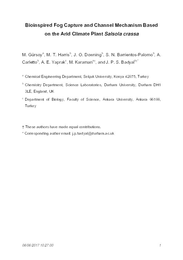 Bioinspired fog capture and channel mechanism based on the arid climate plant Salsola crassa Thumbnail