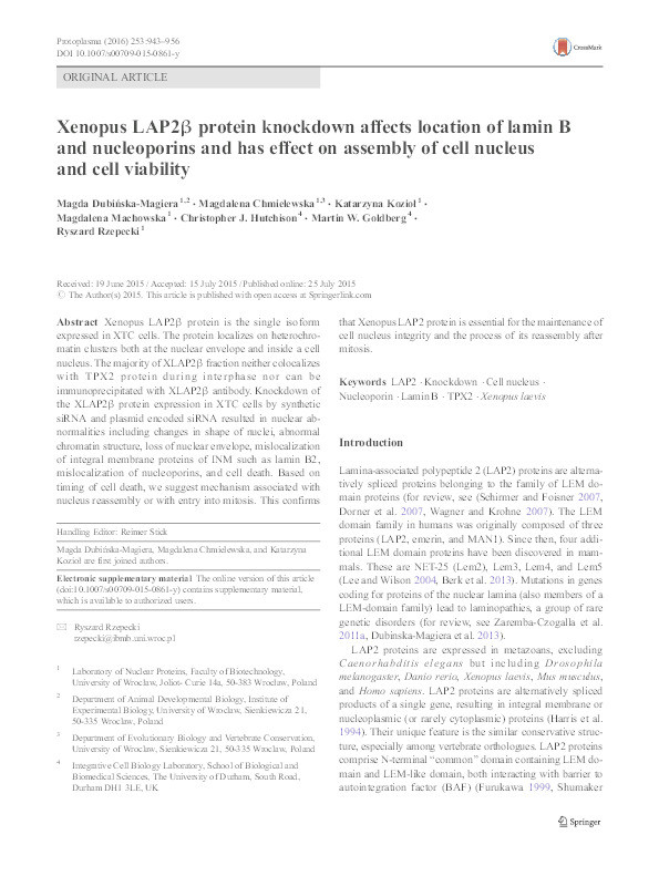 Xenopus LAP2β protein knockdown affects location of lamin B and nucleoporins and has effect on assembly of cell nucleus and cell viability Thumbnail