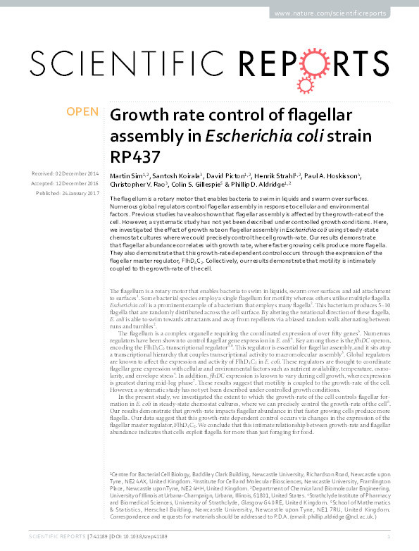 Growth rate control of flagellar assembly in Escherichia coli strain RP437 Thumbnail