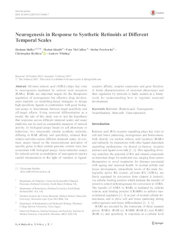 Neurogenesis in Response to Synthetic Retinoids at Different Temporal Scales Thumbnail