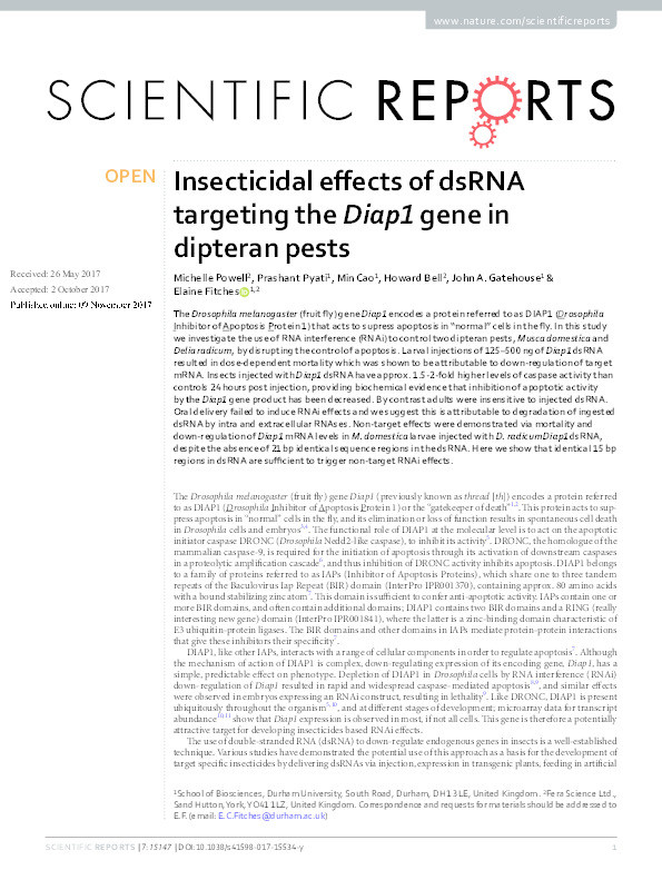 Insecticidal effects of dsRNA targeting the Diap1 gene in dipteran pests Thumbnail