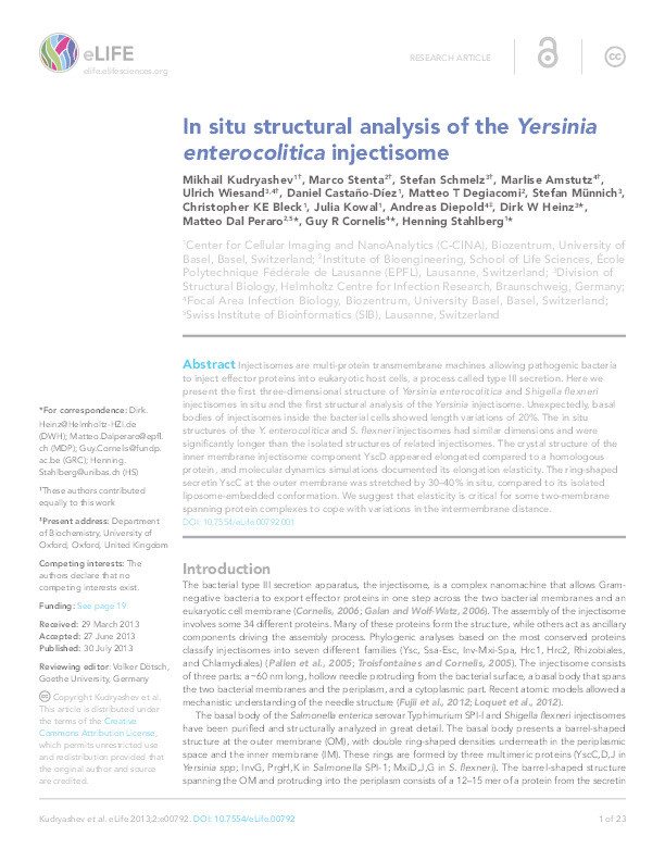 In situ structural analysis of the Yersinia enterocolitica injectisome Thumbnail
