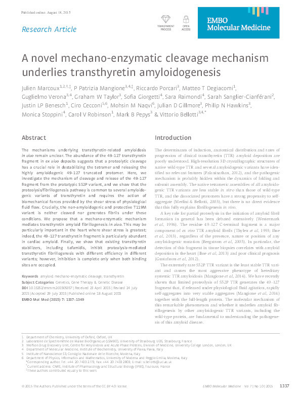 A novel mechano-enzymatic cleavage mechanism underlies transthyretin amyloidogenesis Thumbnail