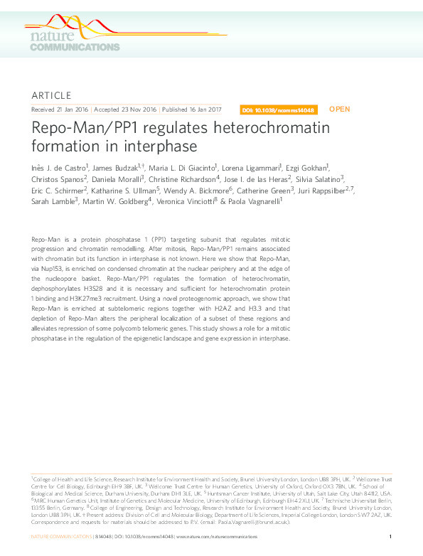 Repo-Man/PP1 regulates heterochromatin formation in interphase Thumbnail