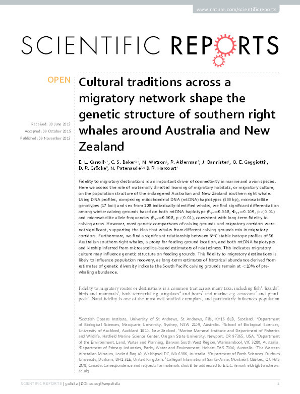 Cultural traditions across a migratory network shape the genetic structure of southern right whales around Australia and New Zealand Thumbnail
