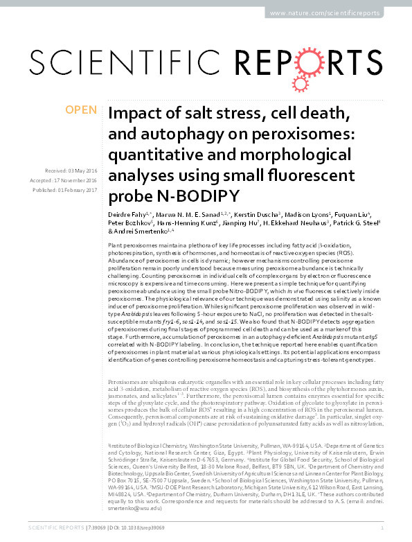 Impact of salt stress, cell death, and autophagy on peroxisomes: quantitative and morphological analyses using small Fluorescent probe N-BODIPY Thumbnail