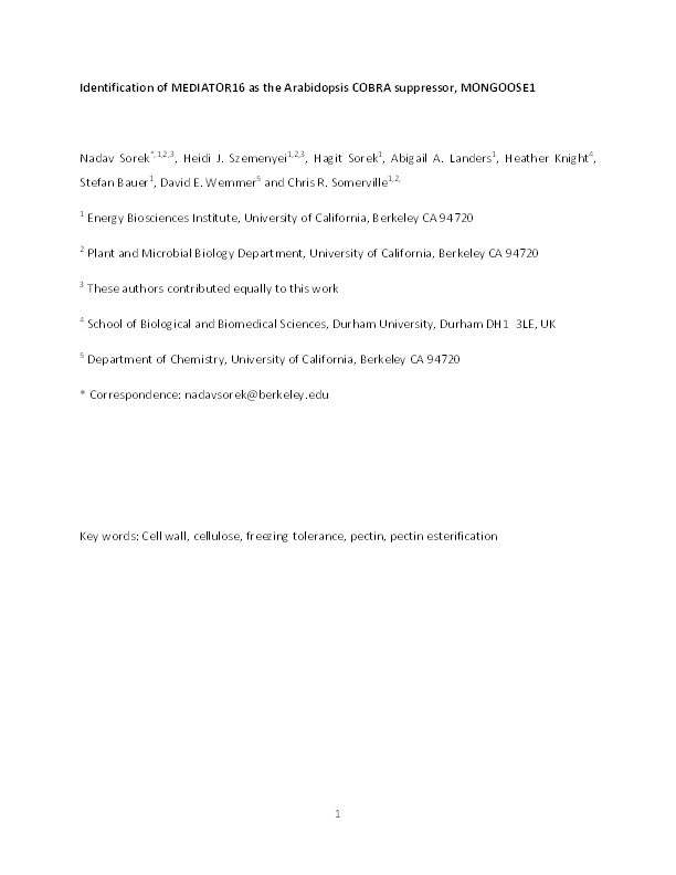 Identification of MEDIATOR16 as the Arabidopsis COBRA suppressor, MONGOOSE1 Thumbnail