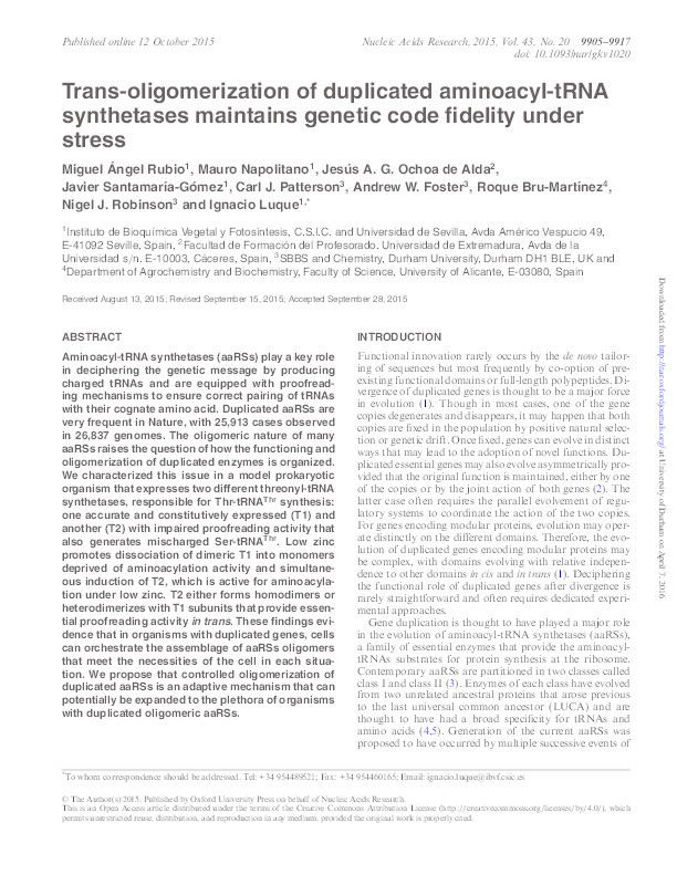 Trans-oligomerization of duplicated aminoacyl-tRNA synthetases maintains genetic code fidelity under stress Thumbnail