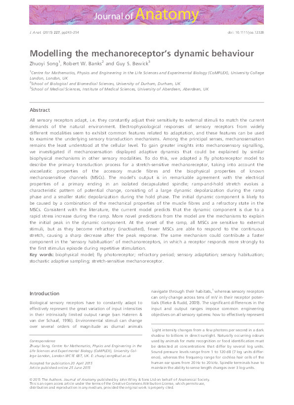 Modelling the mechanoreceptor’s dynamic behaviour Thumbnail