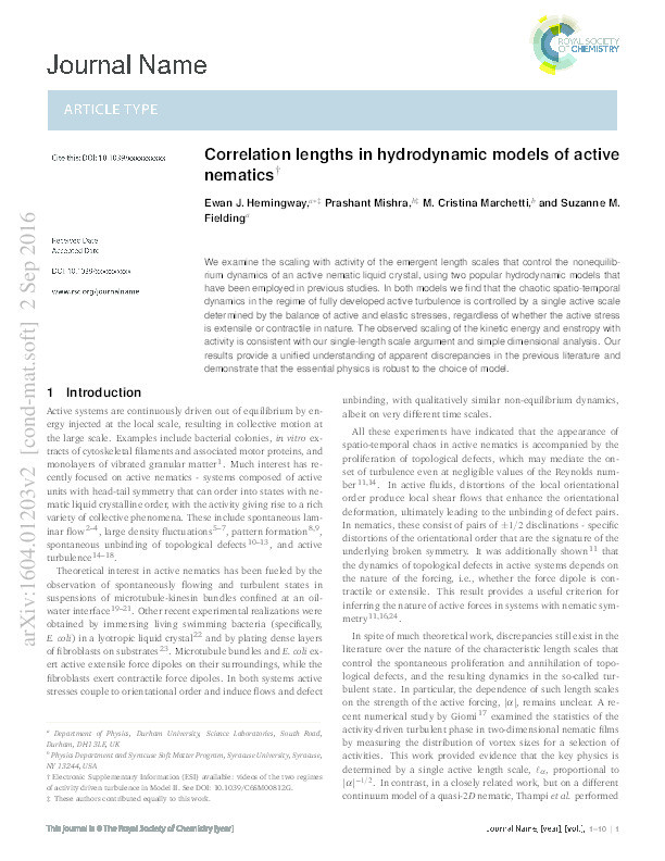 Correlation lengths in hydrodynamic models of active nematics Thumbnail
