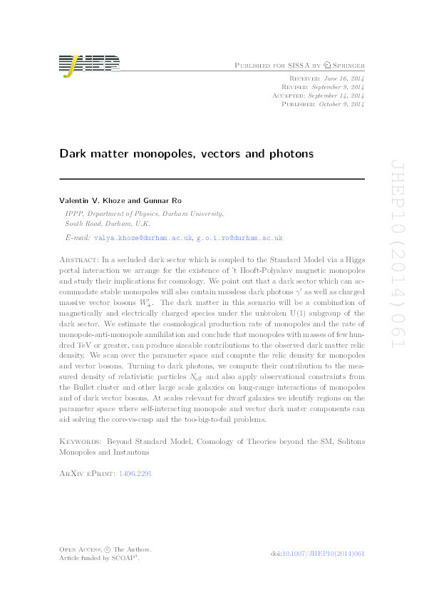Dark matter monopoles, vectors and photons Thumbnail