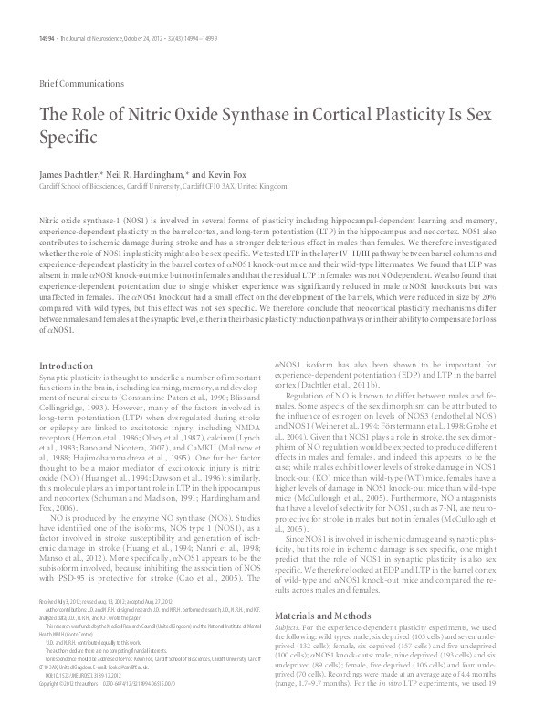 The role of nitric oxide synthase in cortical plasticity is sex specific Thumbnail
