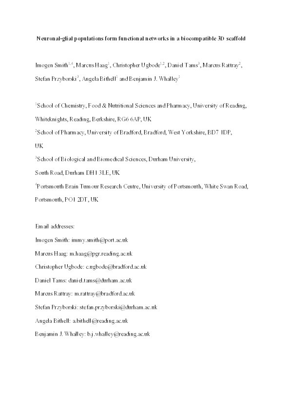 Neuronal-glial populations form functional networks in a biocompatible 3D scaffold Thumbnail