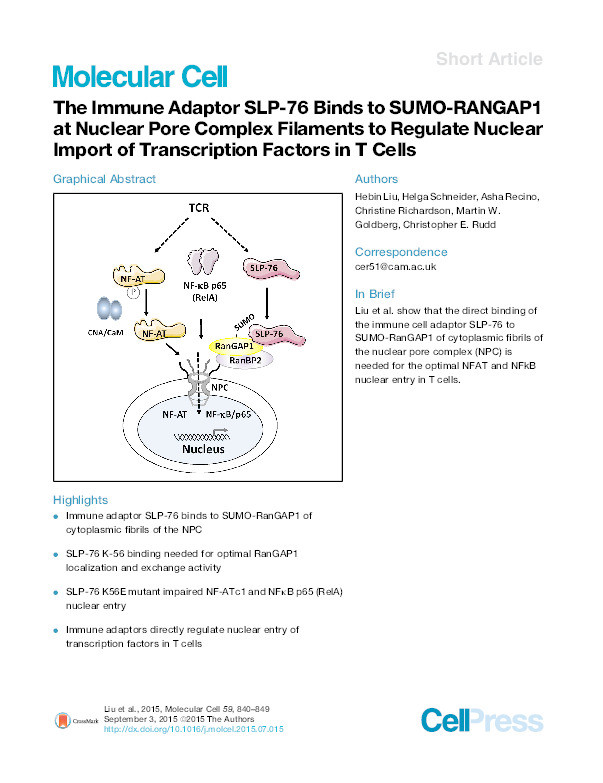 The Immune Adaptor SLP-76 Binds to SUMO-RANGAP1 at Nuclear Pore Complex Filaments to Regulate Nuclear Import of Transcription Factors in T Cells Thumbnail